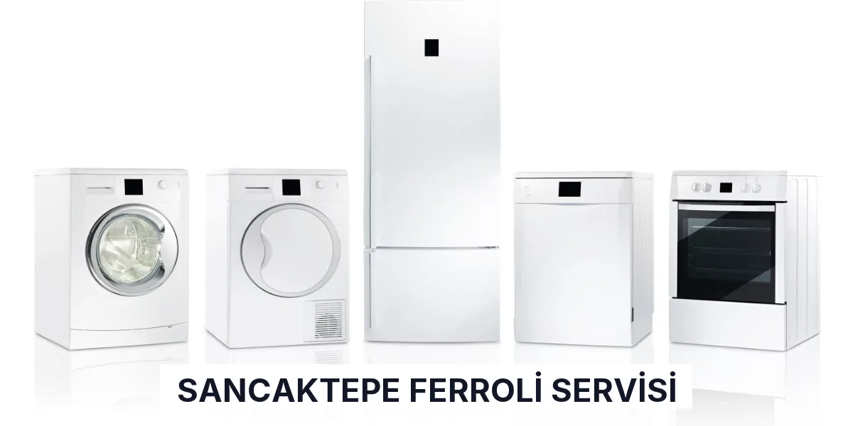 Sancaktepe Ferroli Servisi
