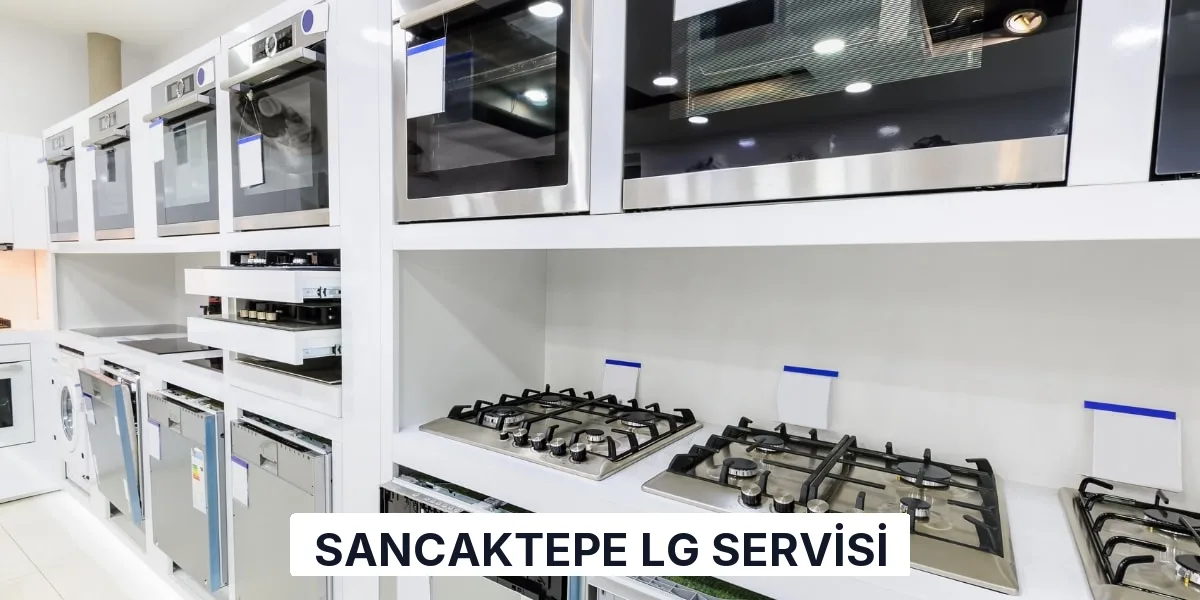 Sancaktepe LG Servisi