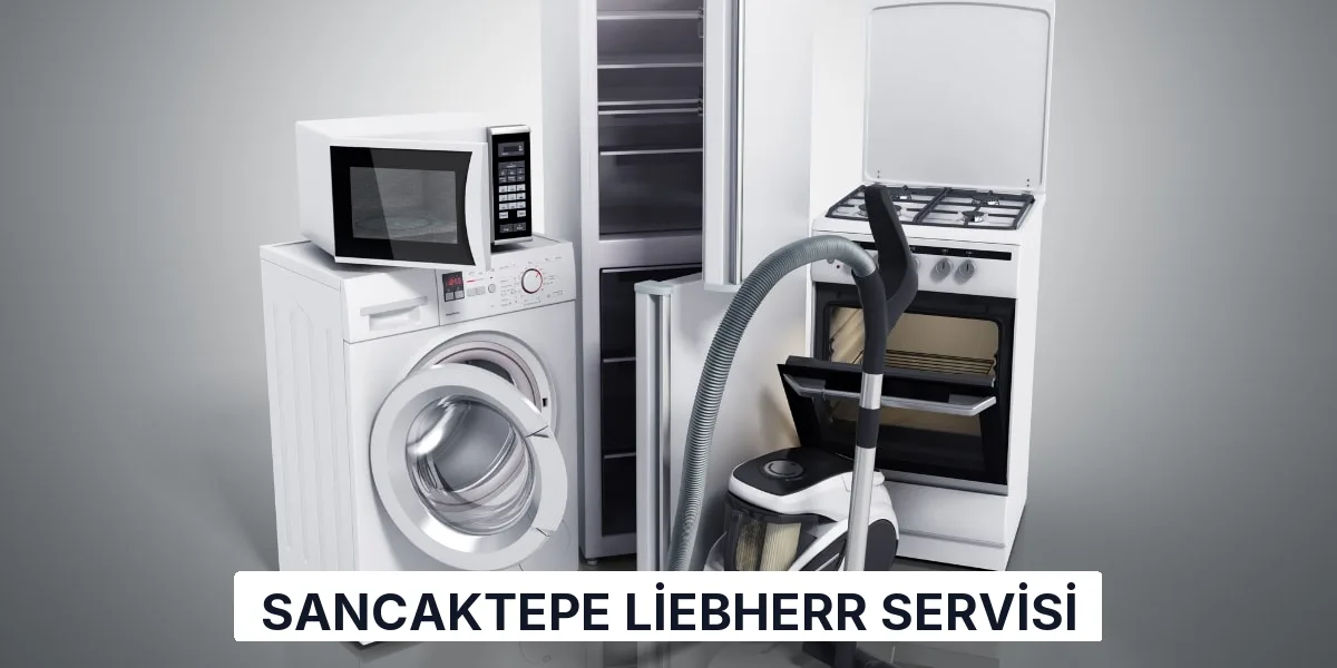 Sancaktepe Liebherr Servisi